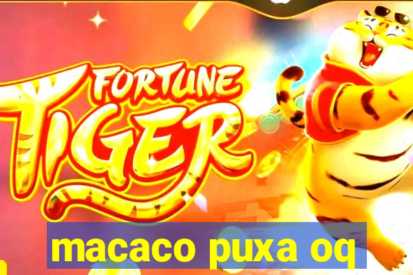 macaco puxa oq